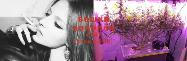 крисы Осинники