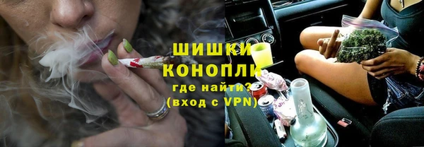 крисы Осинники