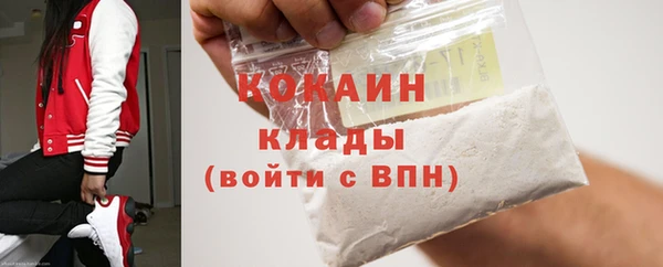 крисы Осинники