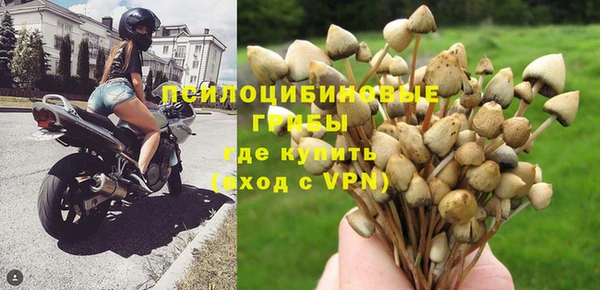 каннабис Осташков