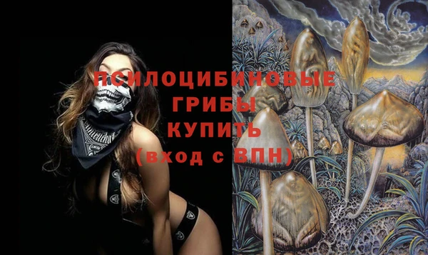 каннабис Осташков