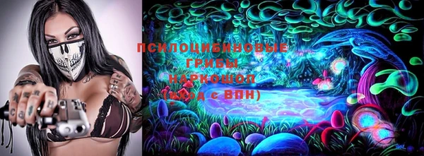 крисы Осинники