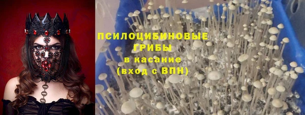 apvp Остров