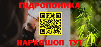 крисы Ставрополь