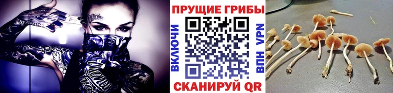 Псилоцибиновые грибы прущие грибы  kraken ТОР  Россошь 
