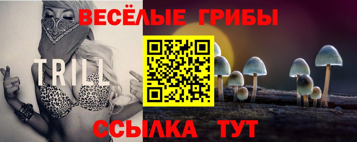 Галлюциногенные грибы GOLDEN TEACHER Россошь