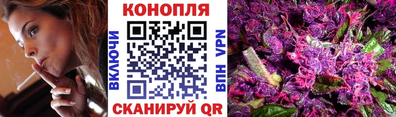 блэк спрут ссылка  Россошь  Шишки марихуана семена 